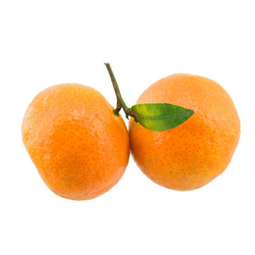 китайские фрукты/китайский мандарин shatang